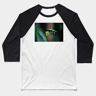 Colour On The Wing Baseball T-Shirt